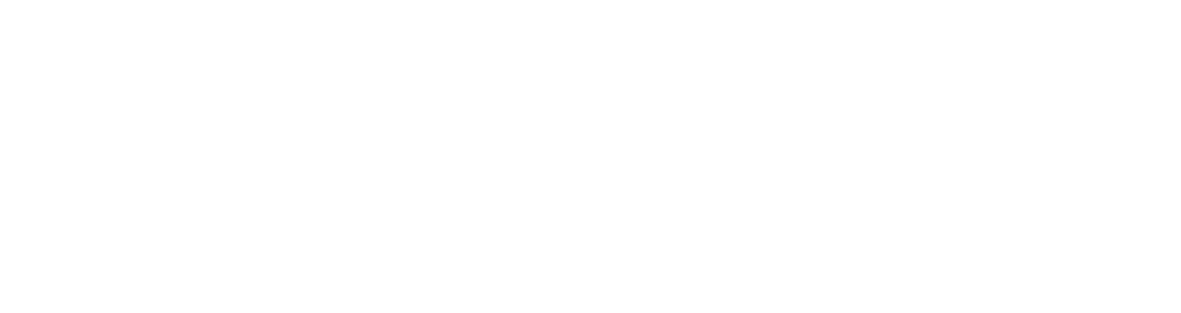 logo-metcing